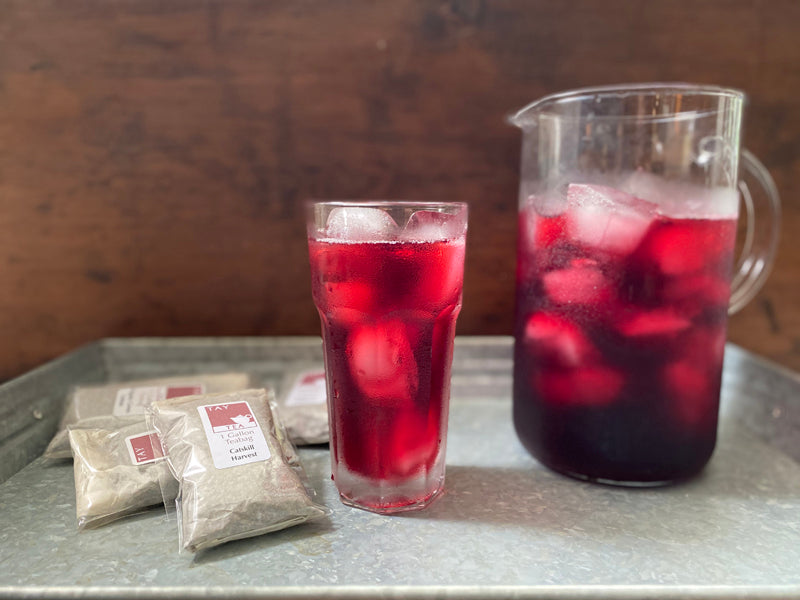 One-Gallon Tea Bag